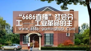 “6686直播”社会分工——工业革命的主线(图2) 6686官网