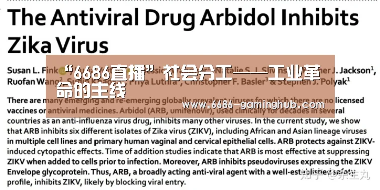 “6686直播”社会分工——工业革命的主线(图3) 6686快讯