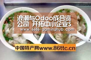浪潮与Odoo成合资公司 开拓中小企业SaaS“6686赛事”(图2) 6686赛事