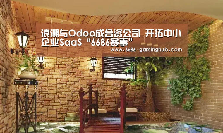 浪潮与Odoo成合资公司 开拓中小企业SaaS“6686赛事”(图3) 6686赛事