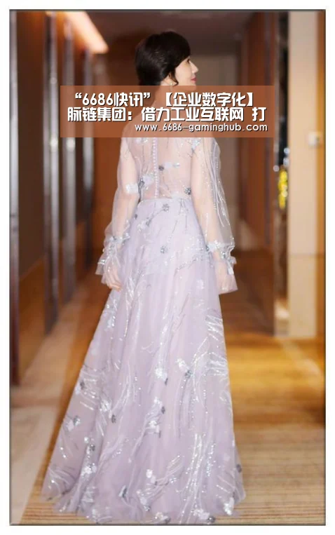 “6686快讯”【企业数字化】脉链集团:借力工业互联网 打造产业链云平台(图2) 6686官网