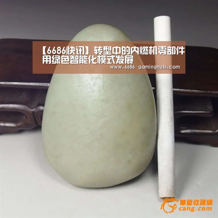 6686赛事