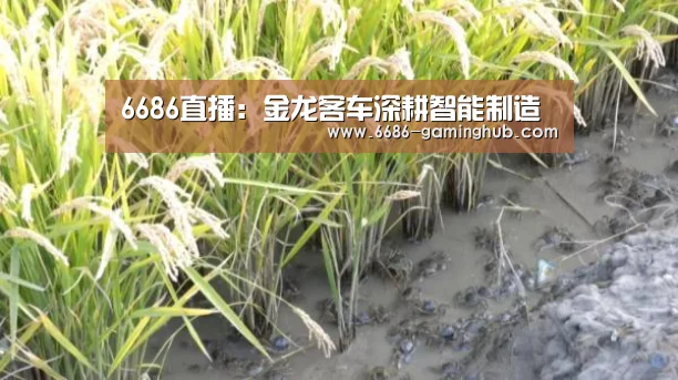 6686直播:金龙客车深耕智能制造(图1) 6686赛事
