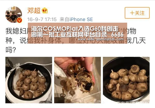 6686赛事