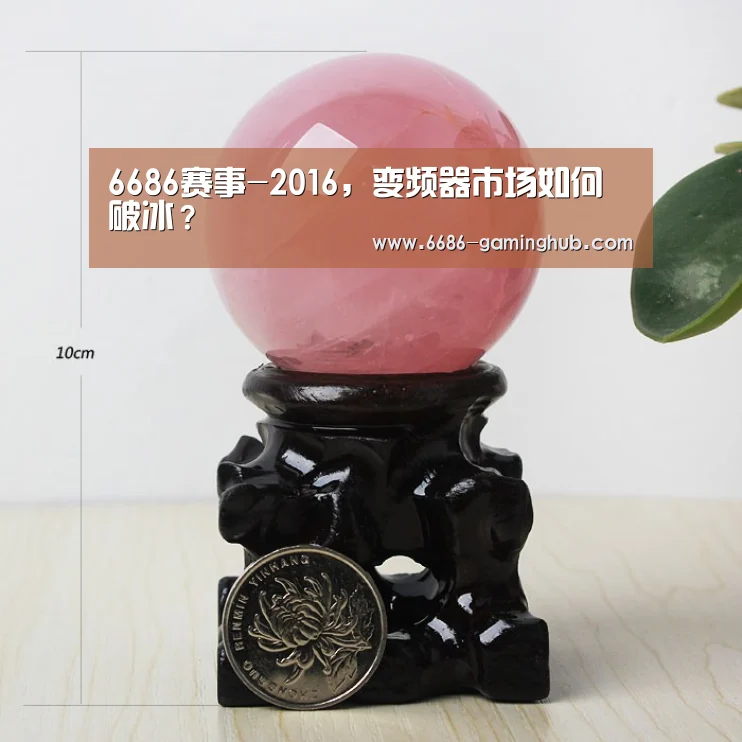 6686快讯