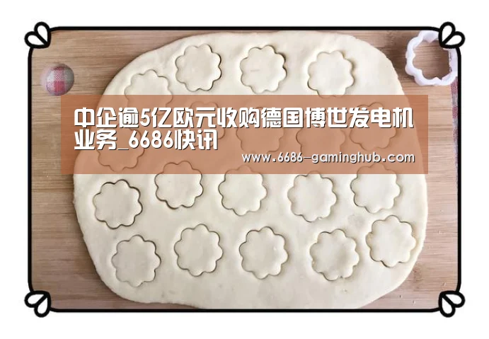 中企逾5亿欧元收购德国博世发电机业务_6686快讯(图2) 6686直播